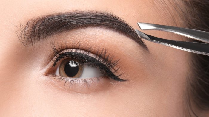 Eyebrow Grooming Panduan Lengkap Perawatan Alis